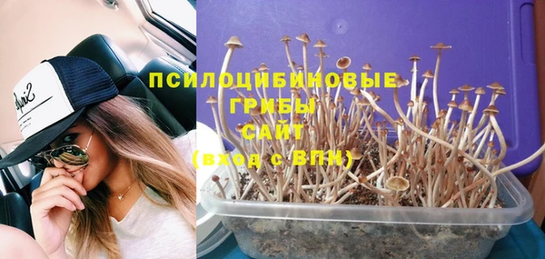 apvp Алексеевка